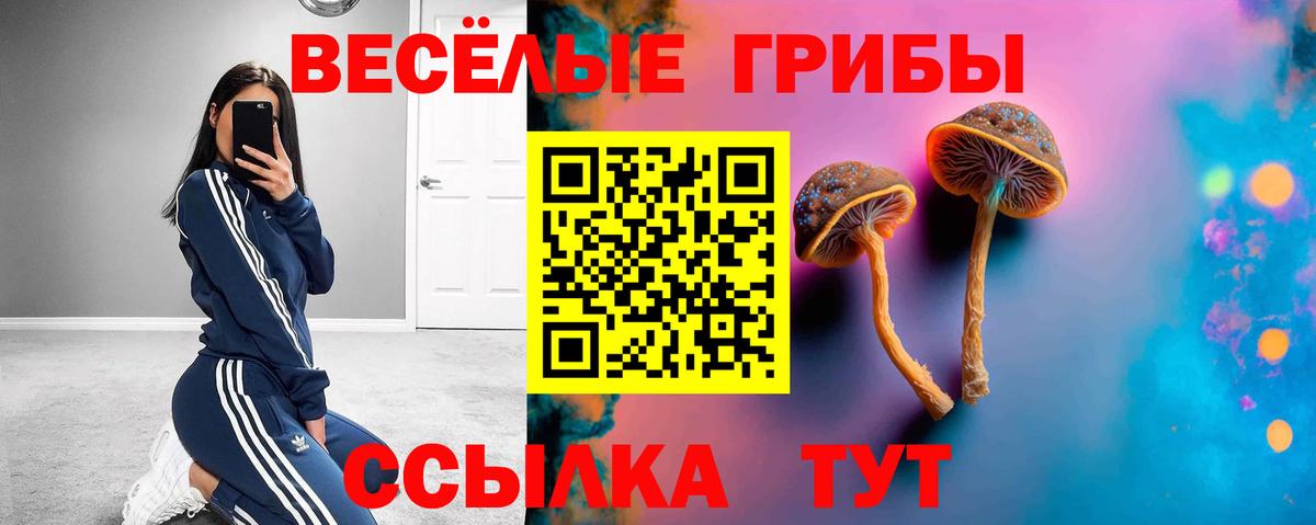 Галлюциногенные грибы мицелий  Псилоцибиновые грибы MAGIC MUSHROOMS  Вход с VPN  Лениногорск 