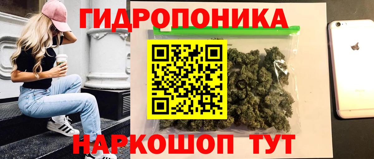 Шишки марихуана ГИДРОПОН Лениногорск